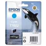 Afbeelding van Epson T7602 inktcartridge cyaan (origineel) | EPST7602