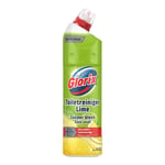 Afbeelding van Glorix Toiletspray | zonder bleek | Lime | 750 ml | QC-GL-00109
