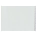 Afbeelding van Kangaro G3D10F-B A3 tabbladen | kunststof | 10 tabs | liggend | 4-gaats | KANG3D10F-B