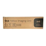 Afbeelding van Océ 29951188 imaging unit geel (origineel) | OCE29951188
