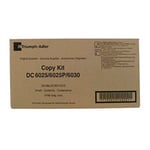 Afbeelding van Triumph-Adler 613011015 toner cartridge zwart (origineel) | TRI613011015