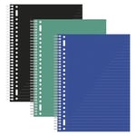 Afbeelding van Kangaro collegeblok | A4 | gelinieerd | 80 gr | 80 vel | 3 stuks | KANK-58371-3