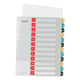 Afbeelding van Leitz 12480000 Cosy bedrukbare tabbladen | A4 | plastic | 11-gaats | 12 tabs
