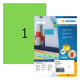 Herma 4404 permanent hechtende etiketten | A4 | 210 x 297 mm | groen | 100 etiketten | HER4404