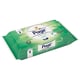 Afbeelding van Page 35213414 vochtig toiletpapier | Aloë Vera | 38 doekjes