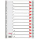 Esselte 100106 A4 index | plastic | 1-12 | 11-gaats | ESS100106