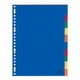 Afbeelding van Kangaro plastic tabbladen | plastic | gekleurd | 10 tabs