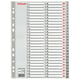 Afbeelding van Esselte 100109 A4 index | plastic | 1-54 | 11-gaats