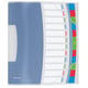 Esselte Vivida sorteermap | 12 tabs | ESS624030