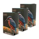 Afbeelding van Sneltoner Bundel 2X T040 (Zwart) en T041 (Kleur)