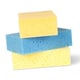 Sponsjes | 3 stuks | QC-HH-00021