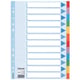 Afbeelding van Esselte 100194 A4 tabbladen | gekleurd karton | 12 tabs | 11-gaats