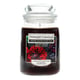 Yankee Candle Home Inspiration geurkaars | Twilight Dahlia | Large Jar | 538 g | YA833NA8456