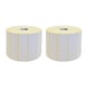 Afbeelding van TSC DT-S100036LL labels 100 mm x 300 m 2 rollen (origineel)