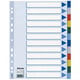 Esselte 15262 A4 tabbladen | gekleurd plastic | 12 tabs | 11-gaats | ESS15262
