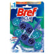 Afbeelding van Bref Toiletblok Blue Activ+ | Eucalyptus | 50 gram | 2 stuks
