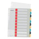 Leitz Cosy bedrukbare tabbladen | A4 | plastic | 11-gaats | 10 tabs | LEI12470000