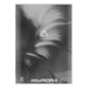 Aurora 36MT/GRIS schrift | A4 | gelinieerd | 90 gr. | 36 vel | grijs | AUR36MT/GRIS
