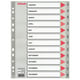 Esselte 100114 A4 index | plastic | jan-dec | 11-gaats | ESS100114