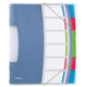 Esselte Vivida sorteermap | 6 tabs | ESS624029