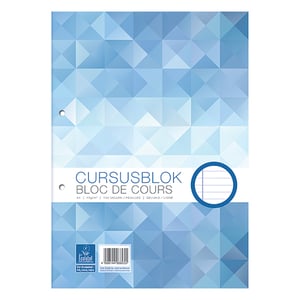 Afbeelding van WORK 1000058103 cursusblok | A4 | gelinieerd | 100 vel | 1 stuk
