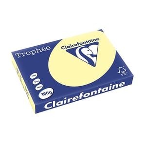 Afbeelding van Clairefontaine papier | geel | A3 | 160 gr. | 250 vel