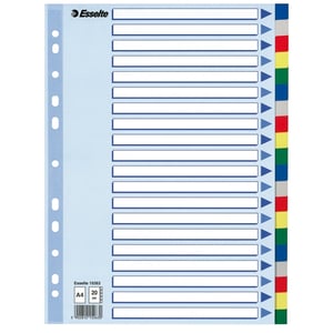 Afbeelding van Esselte 15263 A4 tabbladen | gekleurd plastic | 20 tabs | 11-gaats