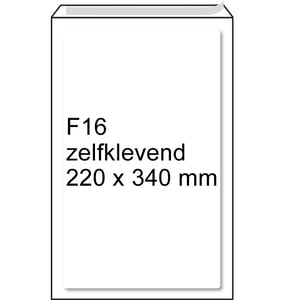 Afbeelding van Raadhuis luchtkussen envelop | zelfklevend | F16 | 220mm x 340mm | 5 stuks