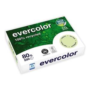 Afbeelding van Clairefontaine Evercolor gerecycled papier | lichtgroen | A4 | 80 gr. | 500 vel