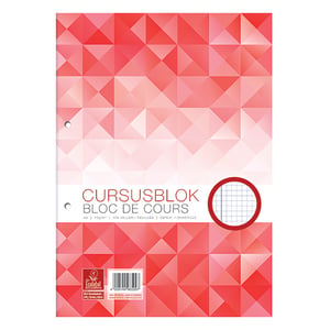 Afbeelding van WORK 100058101 cursusblok | A4 | geruit | 100 vel