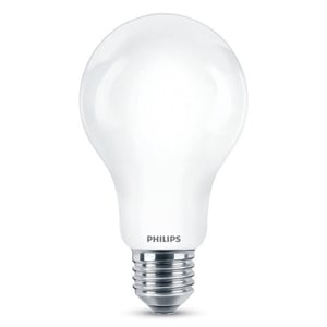 Afbeelding van Philips E27 led-lamp | 17.5W (150W) | mat | helder wit | peermodel