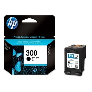 Afbeelding van HP CC640EE nr. 300 inktcartridge zwart (origineel)