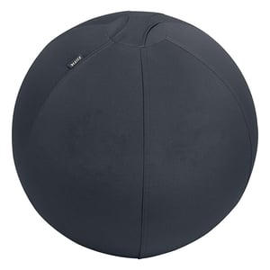 Afbeelding van Leitz Ergo Cosy actieve zitbal | donkergrijs | 55 cm | tot 120 kg