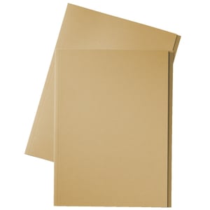 Afbeelding van Esselte inlegmap | karton | 10 mm overslag | folio | crème | 100 stuks