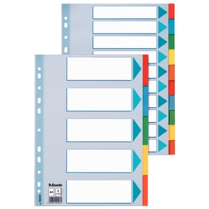 Afbeelding van Esselte 100198 A4 tabbladen | gekleurd karton | 10 tabs | 2-, 4-, 23-gaats