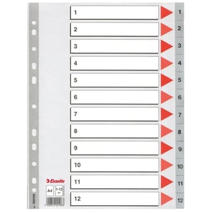Afbeelding van Esselte 100106 A4 index | plastic | 1-12 | 11-gaats