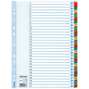 Afbeelding van Esselte 100164 A4 index | karton | 1-31 | 11-gaats