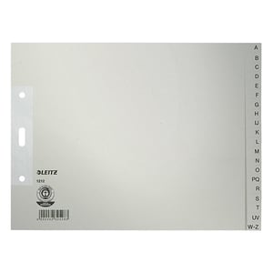 Afbeelding van Leitz grijze kartonnen index | A4 | grijs | 20 tabs | 2-gaats
