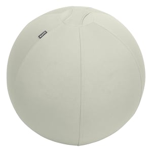 Afbeelding van Leitz Ergo Cosy actieve zitbal | lichtgrijs | 65 cm | tot 150 kg