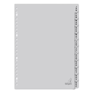 Afbeelding van Kangaro plastic indexen | A4 | grijs | plastic | 12 tabs | 23-gaats | 120 micron