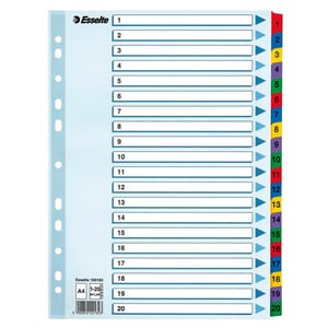 Afbeelding van Esselte 100163 A4 index | karton | 1-20 | 11-gaats