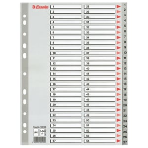 Afbeelding van Esselte 100109 A4 index | plastic | 1-54 | 11-gaats
