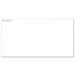 Afbeelding van Seiko SLP-ENT naamkaartjes | 39 x 75mm | 600 etiketten