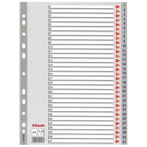 Afbeelding van Esselte 100108 A4 index | plastic | 1-31 | 11-gaats
