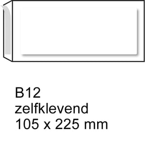 Afbeelding van Raadhuis luchtkussen envelop | zelfklevend | B12 | 105mm x 225mm | 200 stuks
