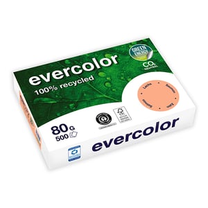Afbeelding van Clairefontaine Evercolor gerecycled papier | zalm | A4 | 80 gr. | 500 vel