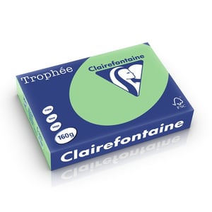 Afbeelding van Clairefontaine papier | natuurgroen | A4 | 160 gr. | 250 vel