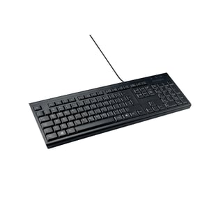 Afbeelding van Kensington EQ KB100 toetsenbord | QWERTY | USB | zwart