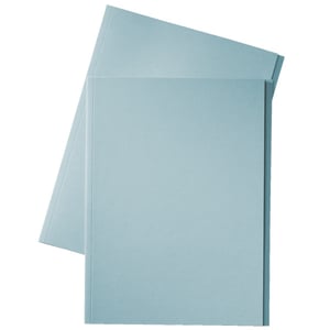 Afbeelding van Esselte inlegmap | karton | 10 mm overslag | folio | blauw | 100 stuks