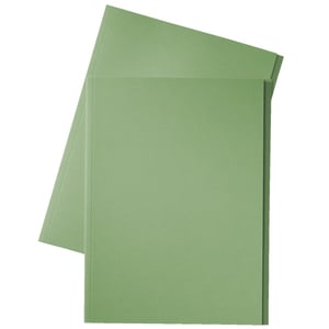 Afbeelding van Esselte inlegmap | karton | 10 mm overslag | folio | groen | 100 stuks